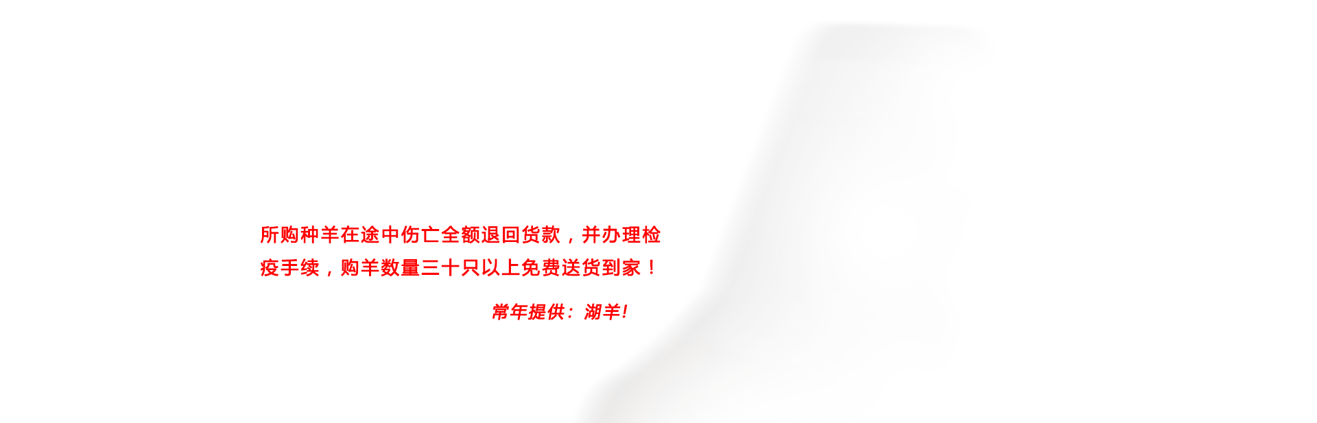 安徽省田豐牧業科技有限公司