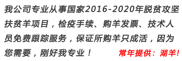 田豐牧業